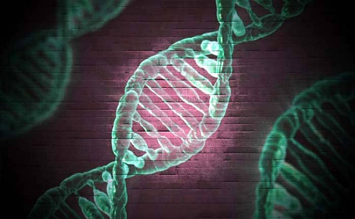 DNA Hybrid Technique DNA Hybrid Technique
