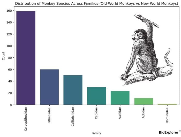 Monkeys Distribution By Families Monkeys Distribution By Families