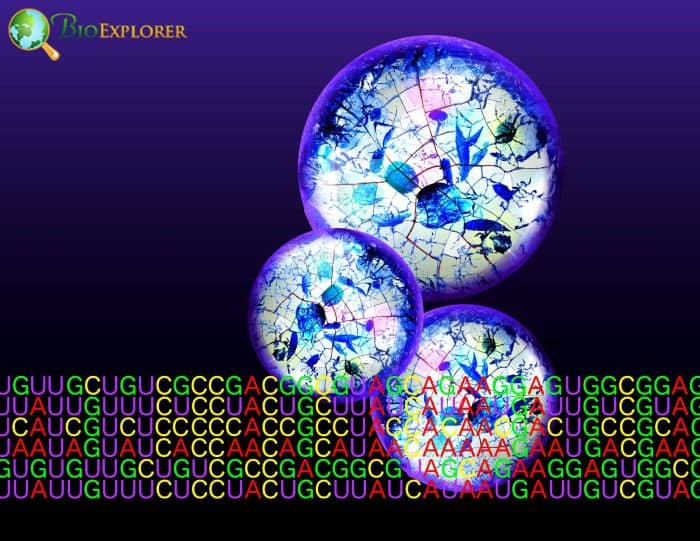 Synthetic Biology Synthetic Biology