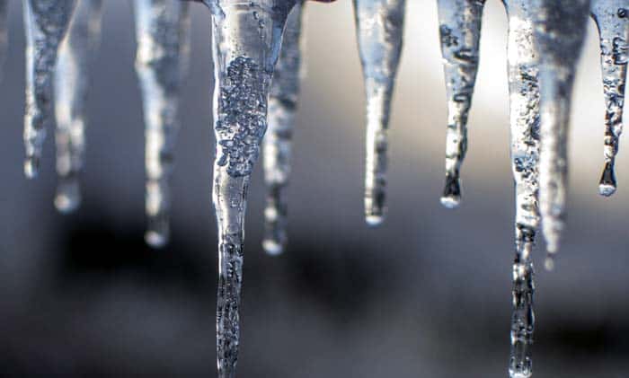 Bacteria in Arctic and Antarctica Bacteria in Arctic and Antarctica