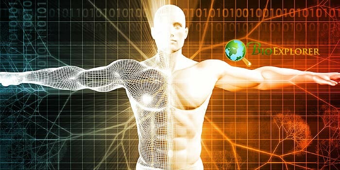 Epigenetics Epigenetics