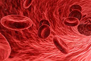 Red Blood Cells