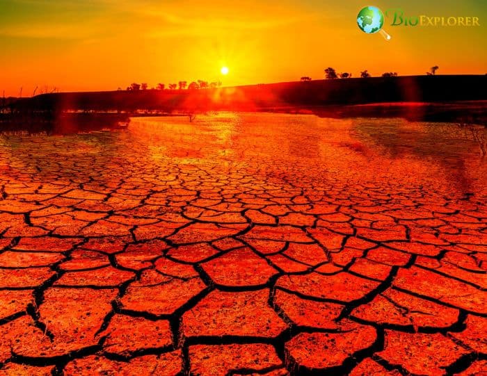 Global Warming Global Warming