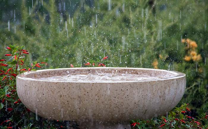 Accurate estimate rainfall for plant growth Accurate estimate rainfall for plant growth