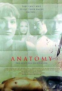 Anatomy