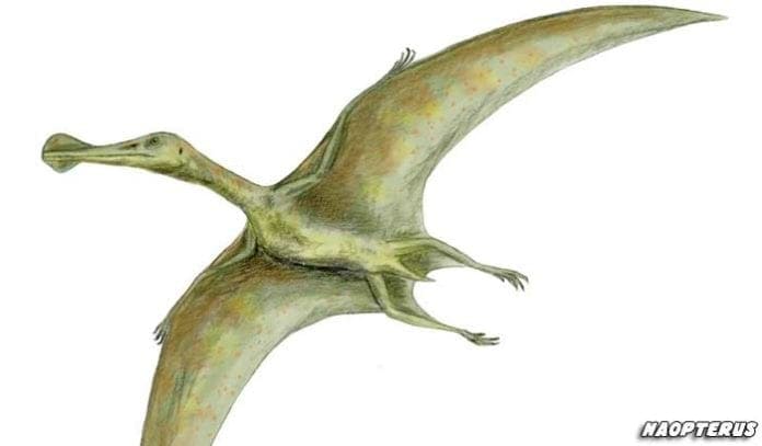 name of the dinosaur that flies