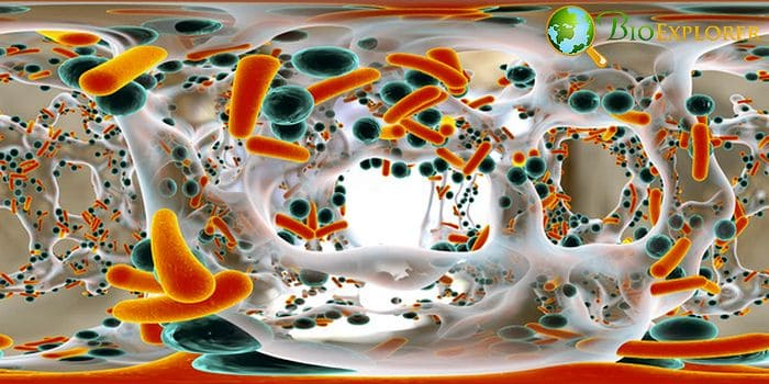 Antibiotic Resistant Bacteria Antibiotic Resistant Bacteria