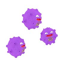 Antibodies Antibodies
