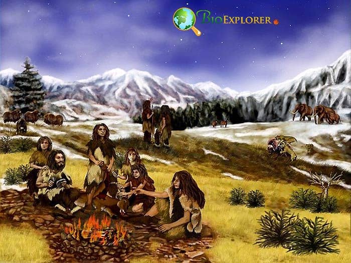 Humans Neanderthals Coexisted Humans Neanderthals Coexisted
