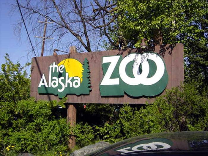 Alaska Zoo Alaska Zoo