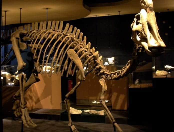 famous herbivore dinosaurs