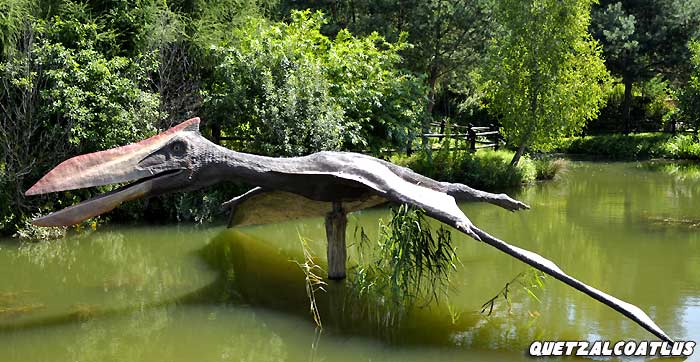 Quetzalcoatlus