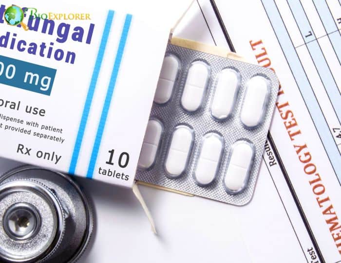 Antifungal Drug Antifungal Drug
