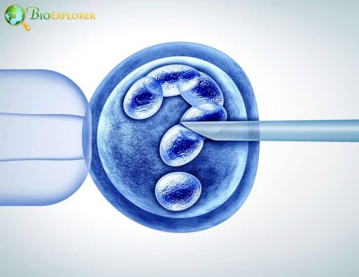 Gene Editing Tool Gene Editing Tool