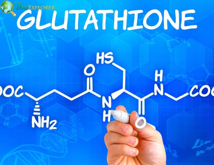 Glutamine Glutamine