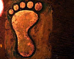 Human Footprint Human Footprint