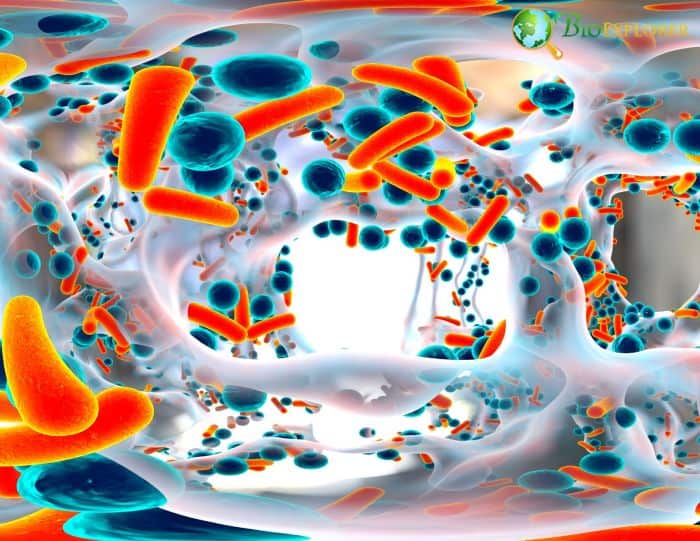Antibiotic Resistance Antibiotic Resistance