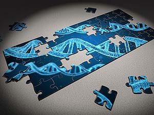 Heredity Heredity