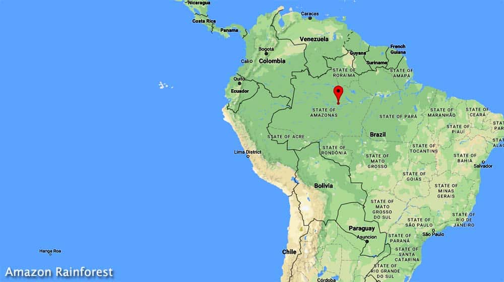 Amazon Rainforest (South America) Amazon Rainforest (South America)