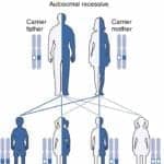 Autosomal Recessive Inheritance