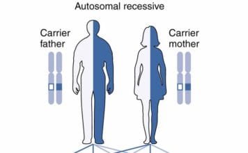 Autosomal Recessive Inheritance