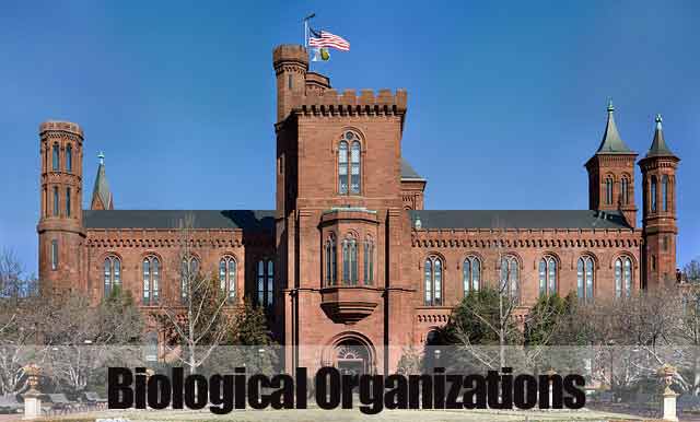 Biological Organizations
