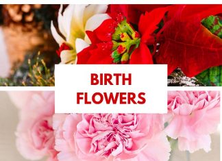 Birth Flowers