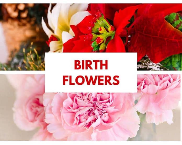 Birth Flowers Birth Month Flowers Symbolism and Meanings