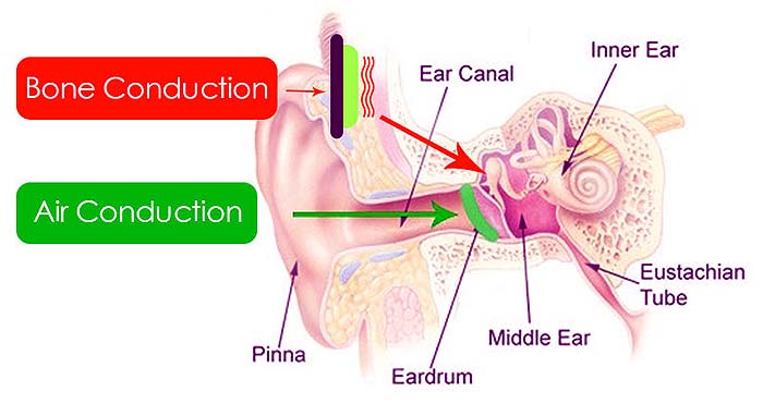 Bone Conduction Bone Conduction