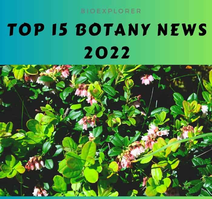 Top 15 Botany News of 2022