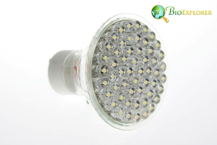 Can Any LED Light Be Used As A Grow Light? Can Any LED Light Be Used As A Grow Light?