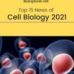 Top 15 Cell Biology News of 2021 the history of cell biology worksheet
