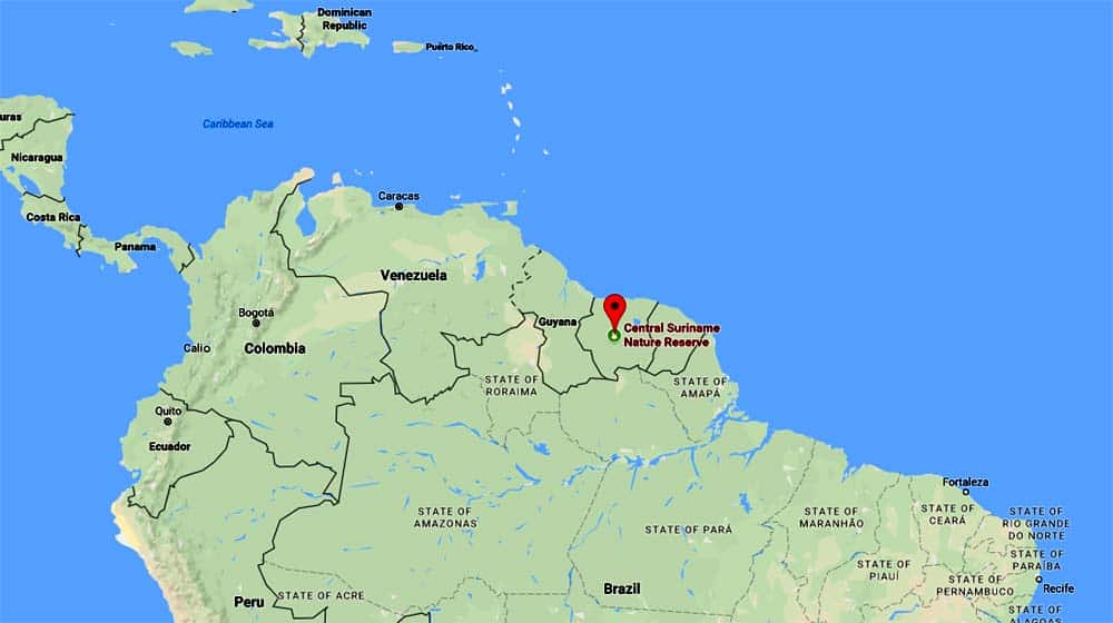 Central Suriname Nature Reserve (South America) Central Suriname Nature Reserve (South America)
