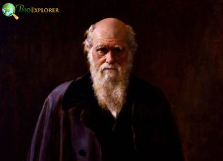 History of Biology (Charles Darwin)