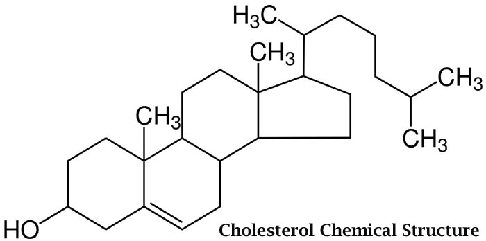 Cholesterol Chemical Structure