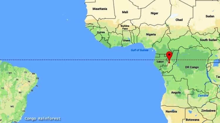 World s Top Rainforests Tropical Rainforests BioExplorer african-congo-map