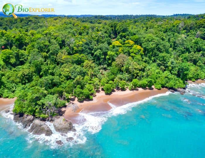 Corcovado National Park (Costa Rica) Corcovado National Park (Costa Rica)
