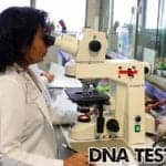 DNA Testing Service