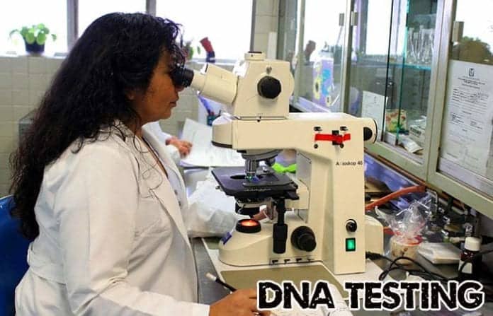 DNA Testing Service DNA Testing Service