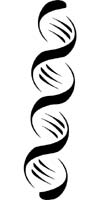 DNA DNA