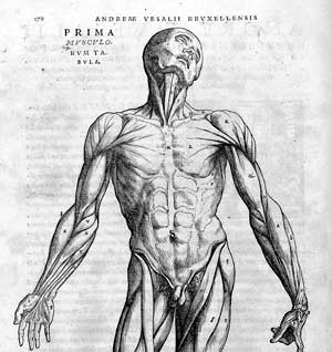 De humani corporis fabrica