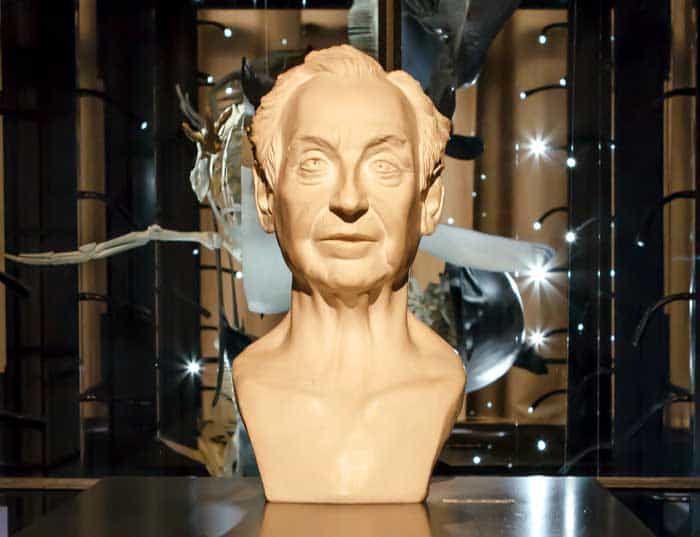 Ernst Mayr (Berlin Museum) Ernst Mayr (Berlin Museum)