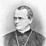 Gregor Mendel Monk