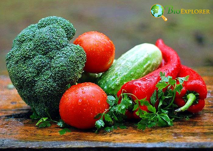 Is Rainwater Good for Vegetables? Is Rainwater Good for Vegetables?