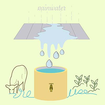 Is Rainwater Suitable for the Garden? Is Rainwater Suitable for the Garden?
