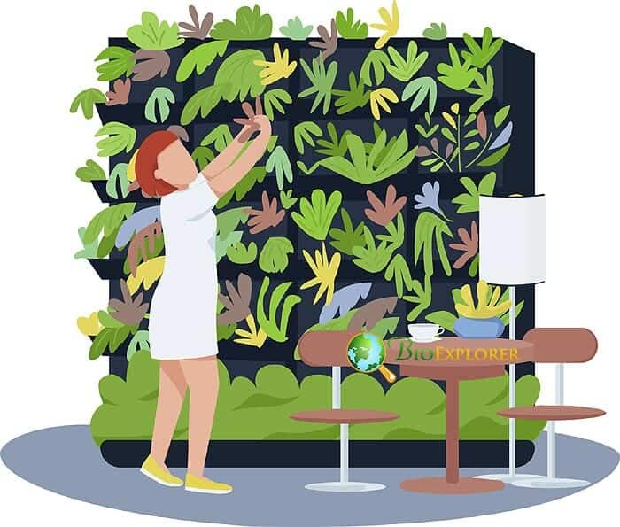 Is Vertical Farming Still Way More Expensive Than Traditional Farming? Is Vertical Farming Still Way More Expensive Than Traditional Farming?
