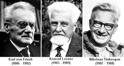 Karl Lorenz and Tinbergen Karl Lorenz and Tinbergen