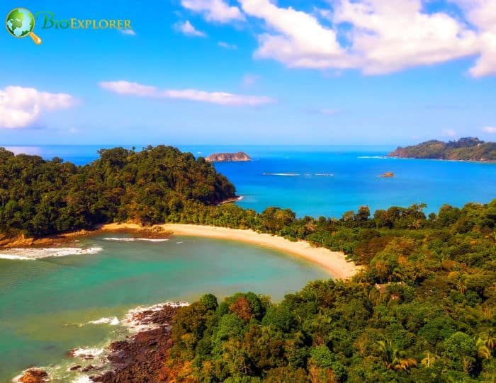 Manuel Antonio National Park, Costa-Rica Manuel Antonio National Park, Costa-Rica