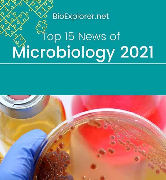 latest research on microbiology