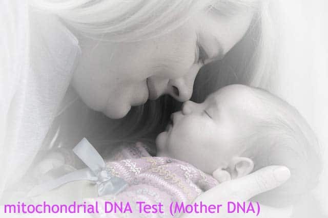 MtDNA Testing MtDNA Testing